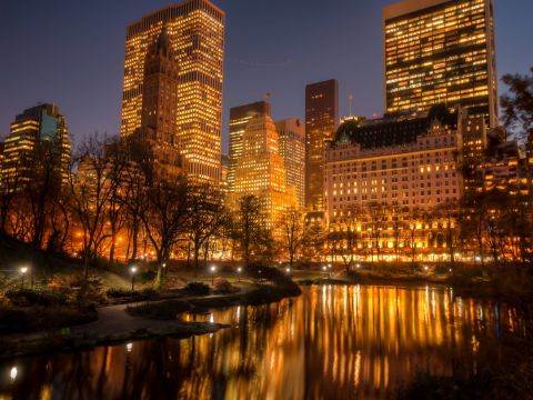 The skyline of New York City